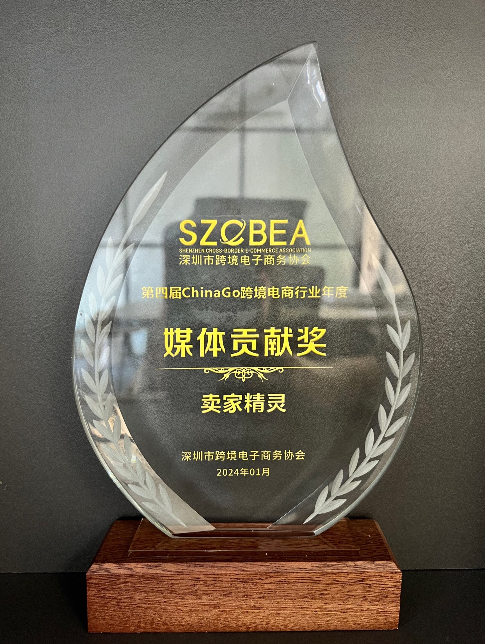 第四届ChinaGo跨境电商行业年度媒体贡献奖
