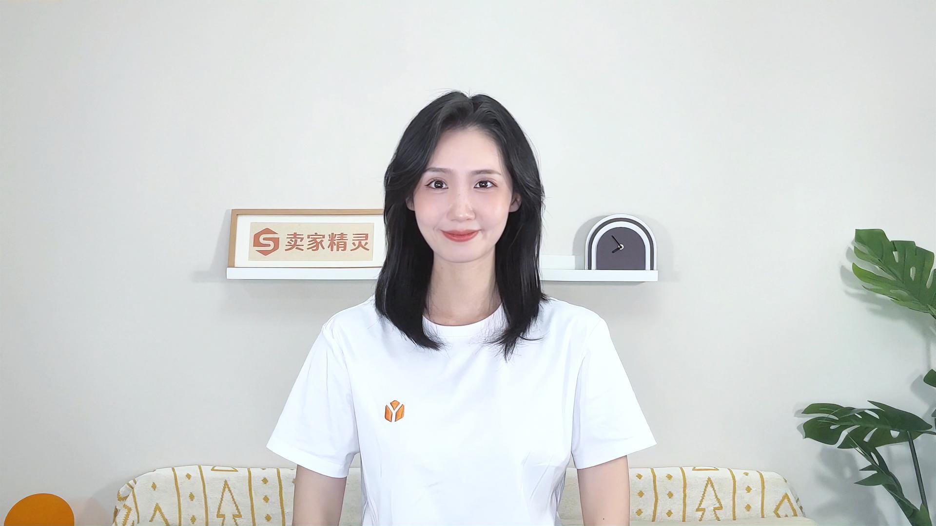产品演示